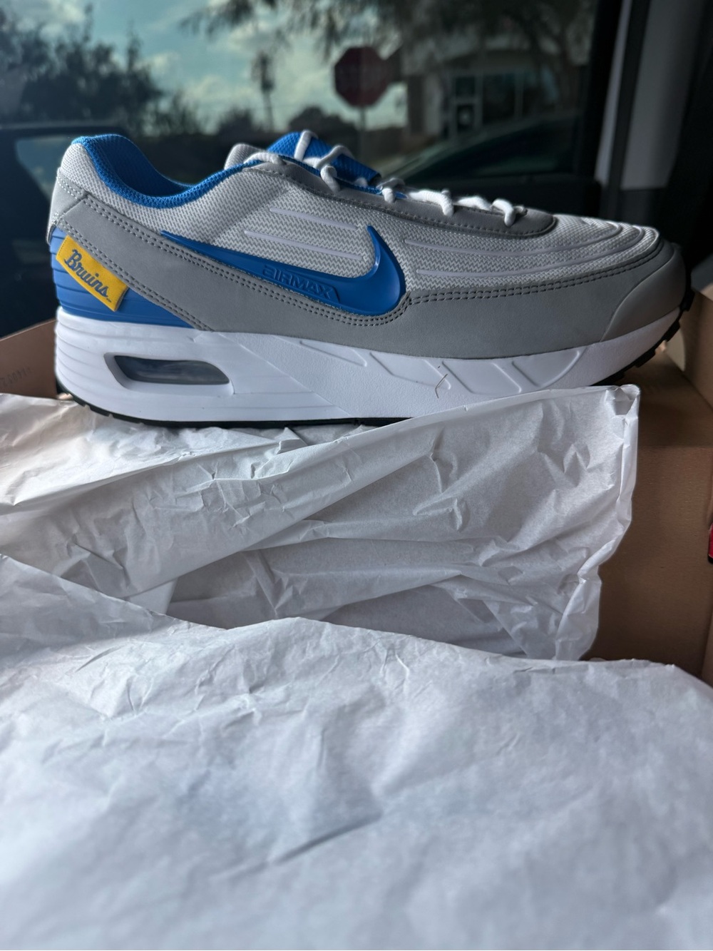 Nike Air Max UCLA